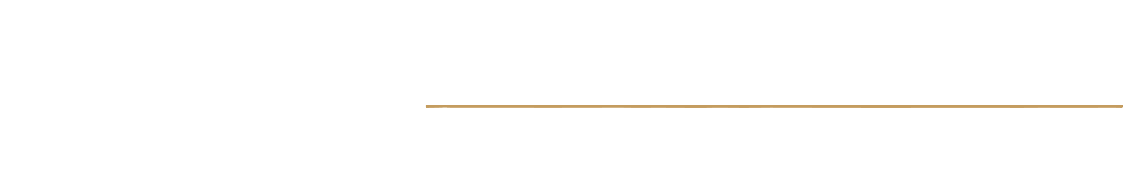 Alta Padel — Padel Elevated